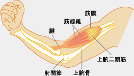 �r����������