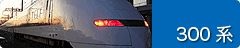 300�n