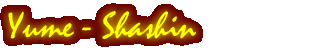 ʐ^