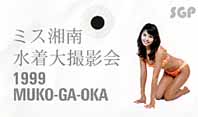 �B�e��̎Q����