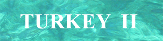 LOGO_Turkey 2