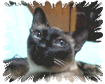 L`rI(11KB)