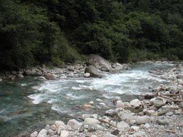 やや増水気味であった