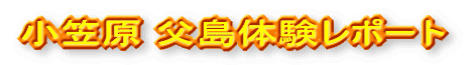 ���}�� �����̌����|�[�g