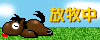 NFしがらき