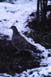 no2107.jpg