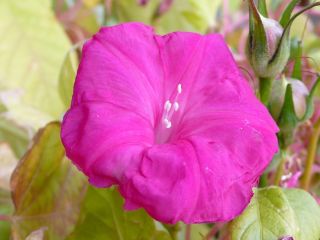 �J������