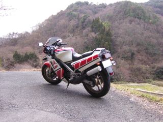qyuQ