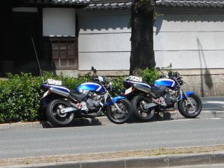 �E�����猩���o�C�H