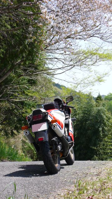 ̂qyuiォj