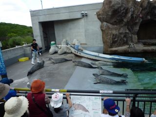 AUV̂^C
